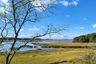 BRAND NEW LISTING! 3BD Architectural Original--A/C, Rooftop Deck, Screen Porch, Amazing Loagy Bay Views