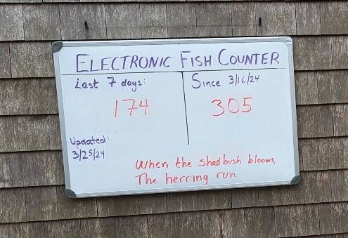 Stoney Brook fish counter sign